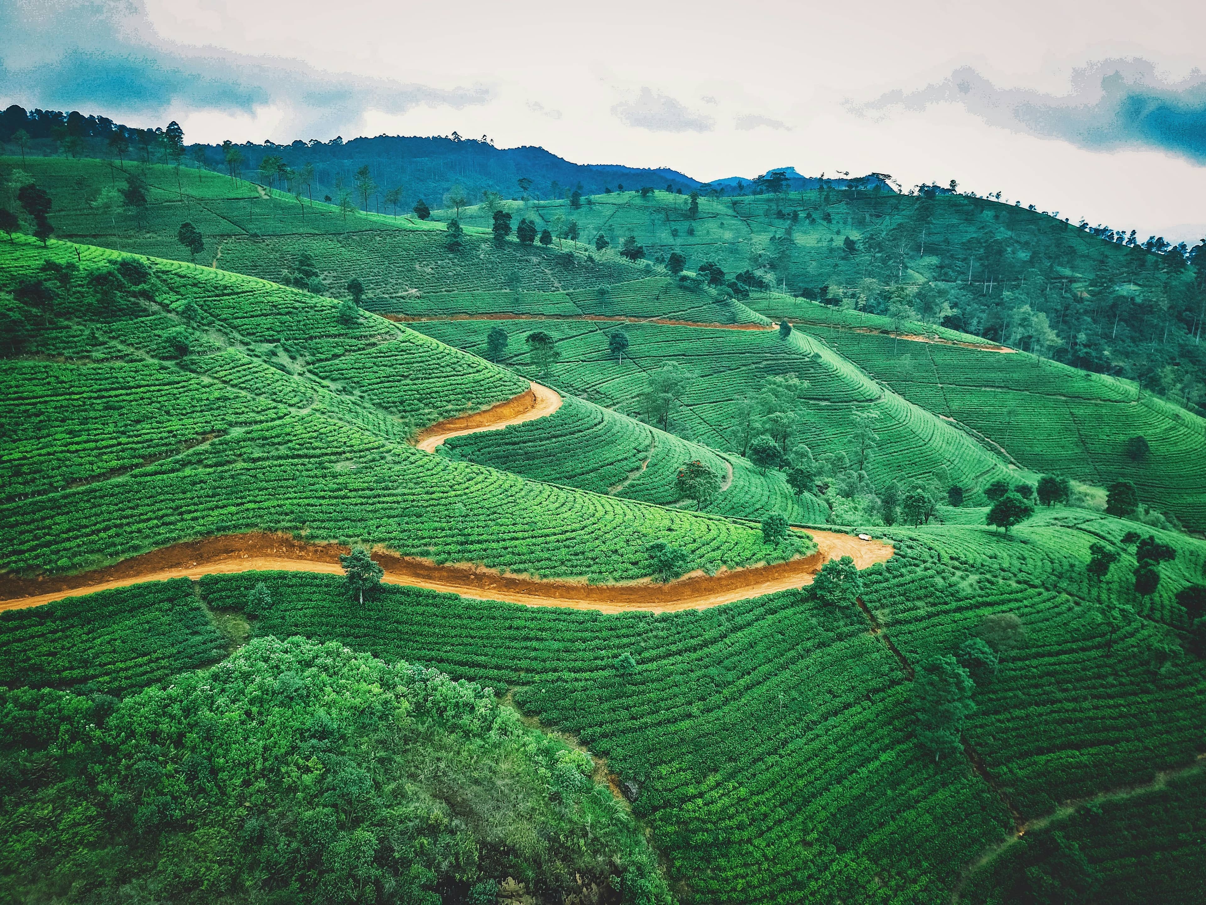 Nuwara Eliya, Sri Lanka destination